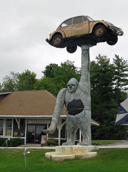 Gorilla holding a Volkswagen Beetle near Salisbury Vermont