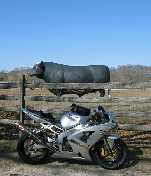 Long Island Bull Statue Calverton -one many long island roadside attractions